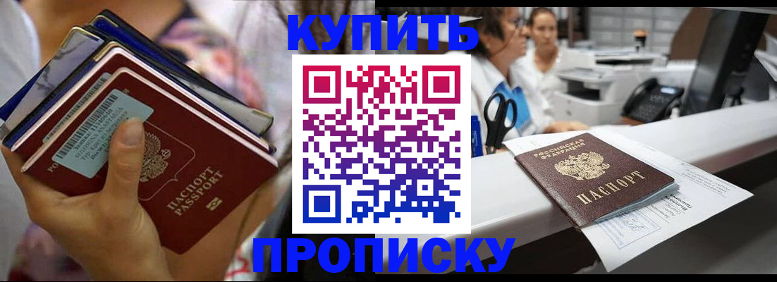 прописка для школы в Елизово